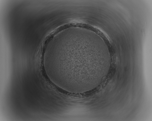 X0000102460919200808151404