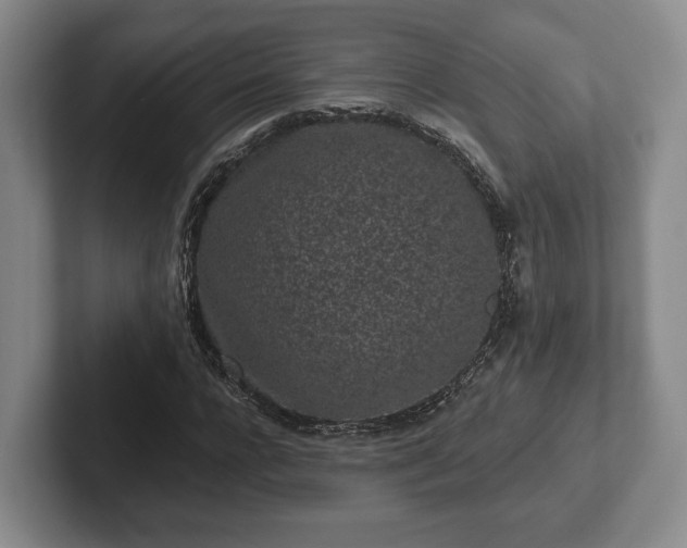 X0000102460920200808151404