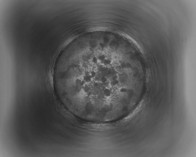 X0000102460921200808151404