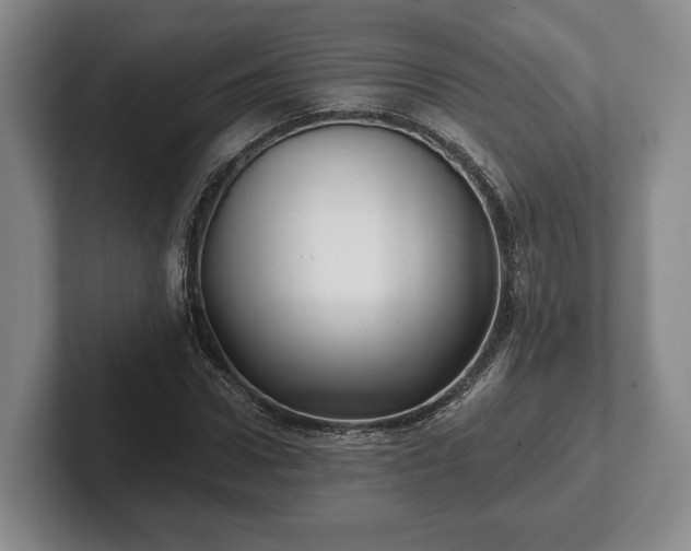 X0000102460922200808151404