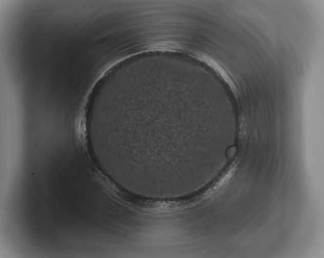 X0000102460923200808151404