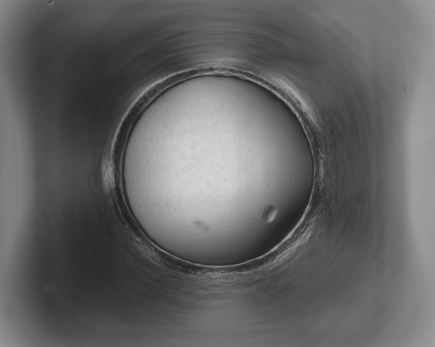 X0000102460924200808151404