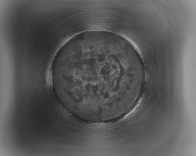 X0000102460925200808151404