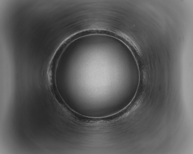 X0000102460926200808151404