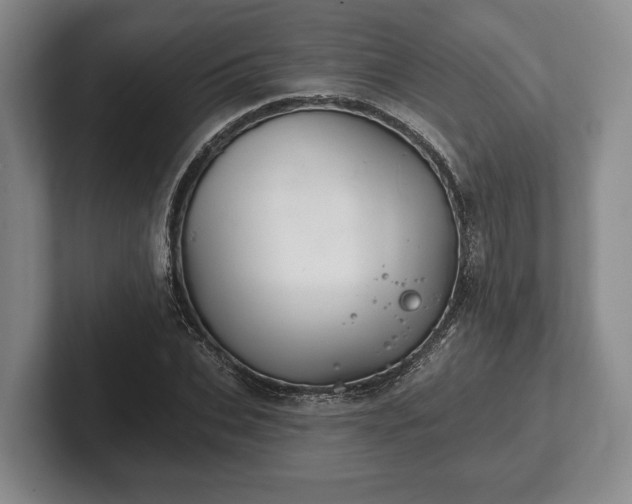 X0000102460927200808151404