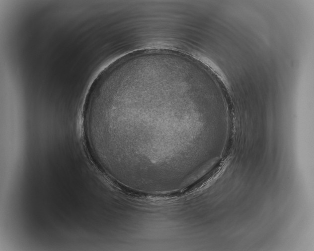 X0000102460928200808151404