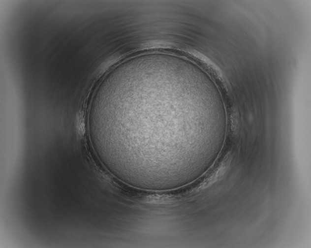 X0000102460929200808151404