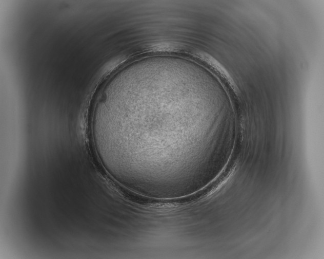 X0000102460930200808151404