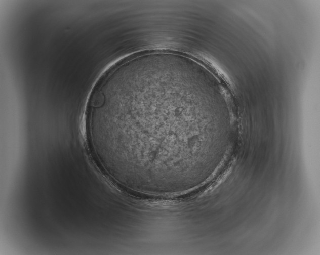 X0000102460932200808151404