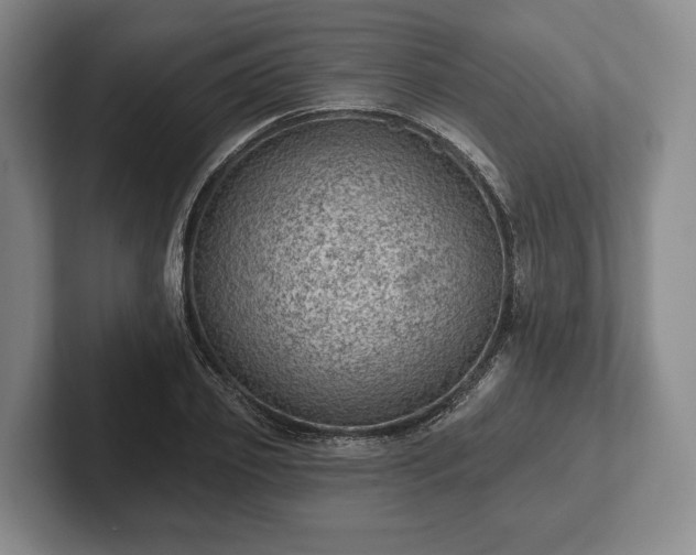 X0000102460933200808151404