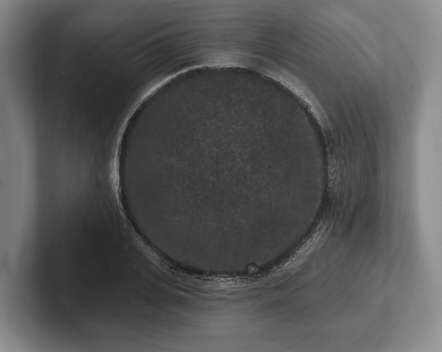 X0000102460935200808151404