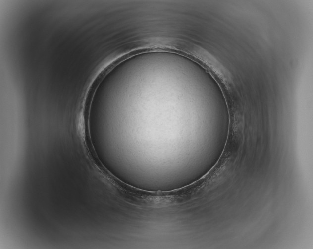 X0000102460936200808151404