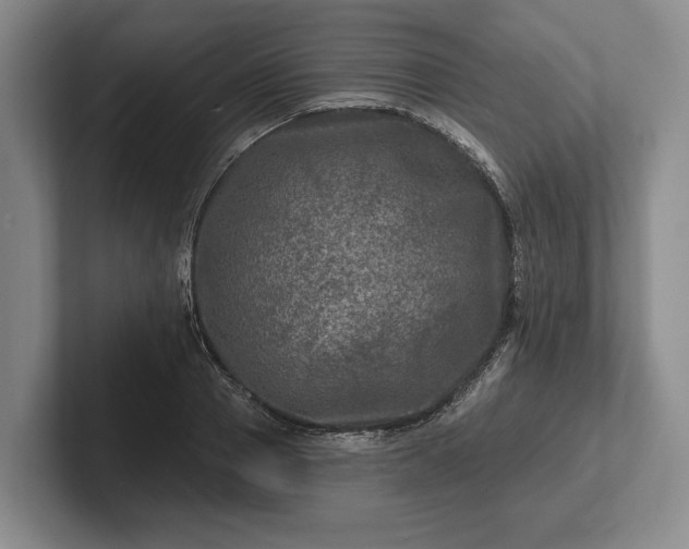 X0000102460937200808151404