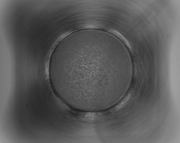 X0000102460938200808151404