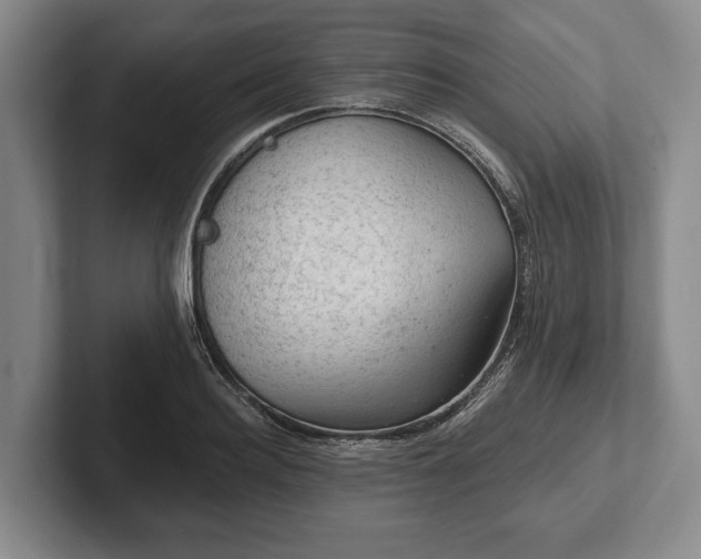 X0000102460940200808151404