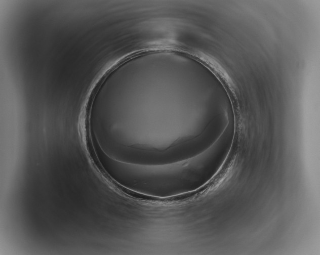 X0000102460941200808151404