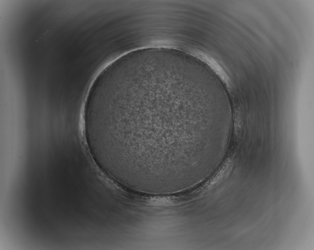 X0000102460944200808151404