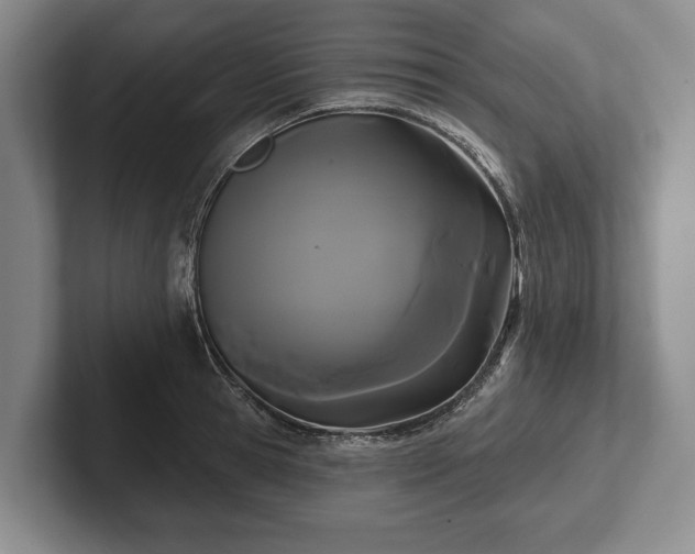 X0000102460945200808151404