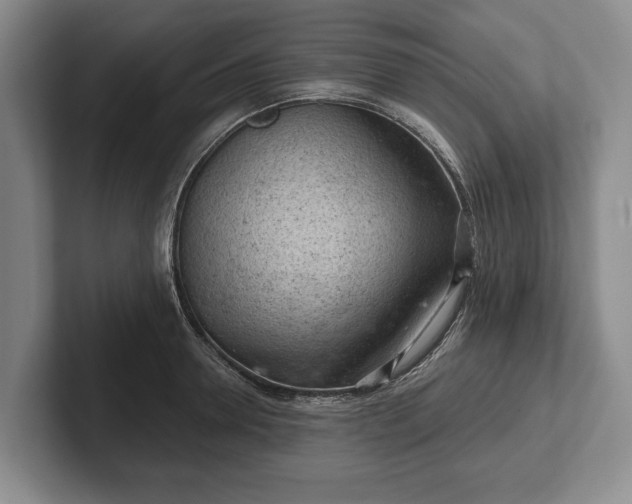 X0000102460946200808151404