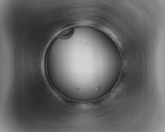 X0000102460947200808151404