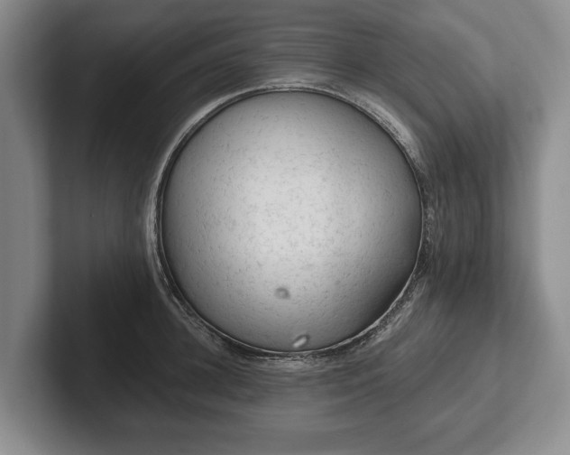 X0000102460948200808151404