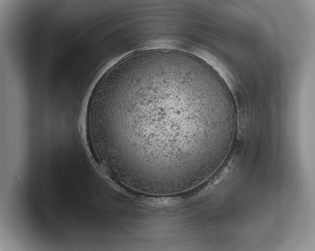 X0000102460949200808151404