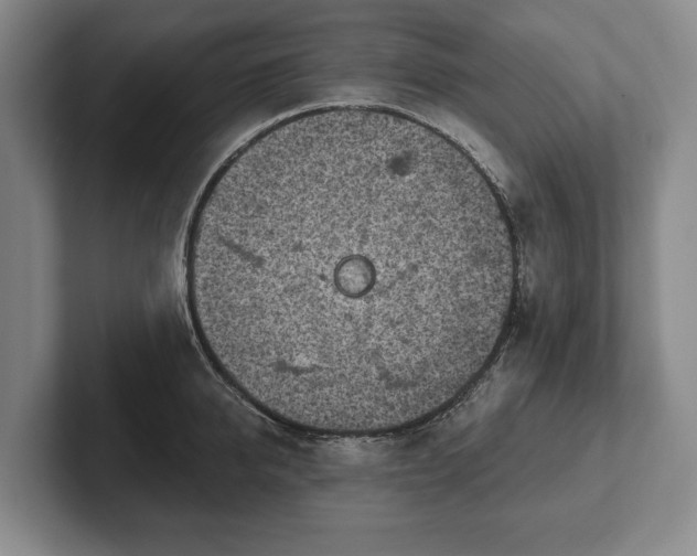 X0000102460950200808151404