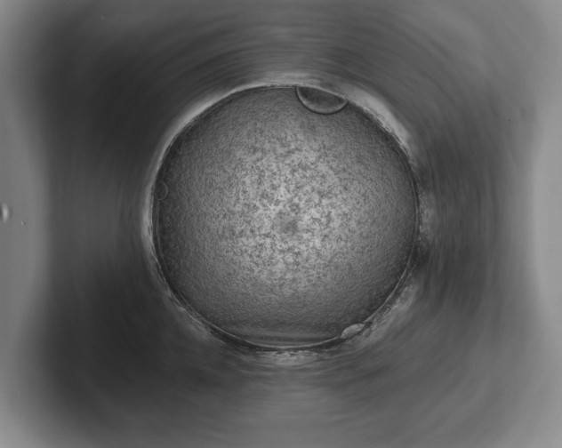 X0000102460952200808151404