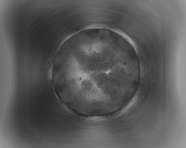 X0000102460953200808151405