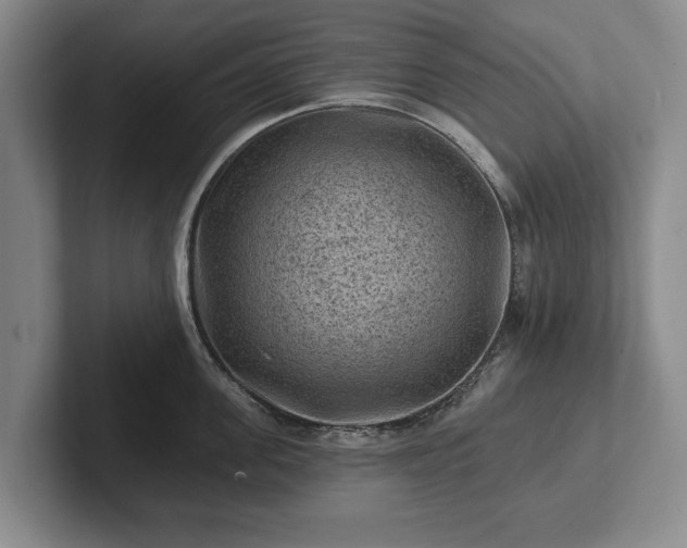 X0000102460955200808151405