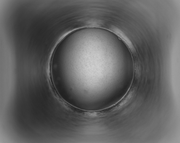 X0000102460956200808151405