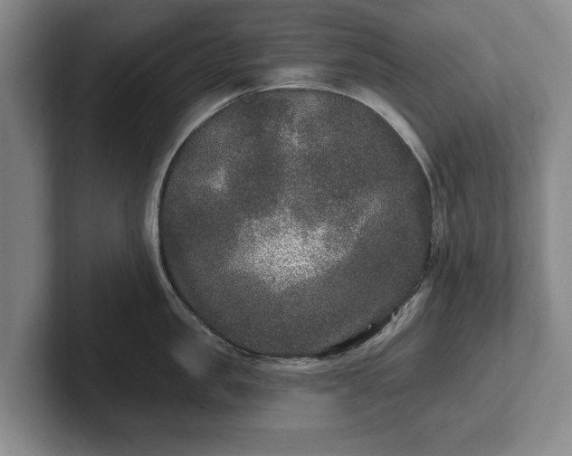 X0000102460957200808151405