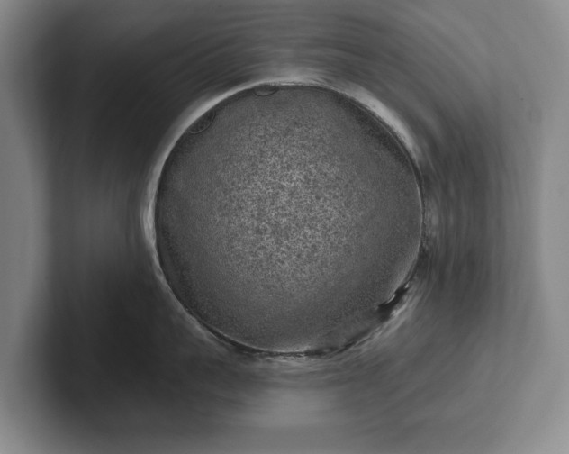 X0000102460959200808151405