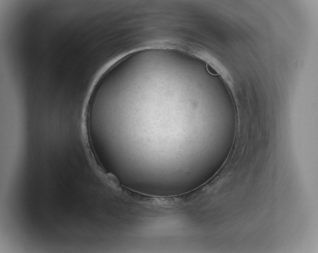 X0000102460960200808151405