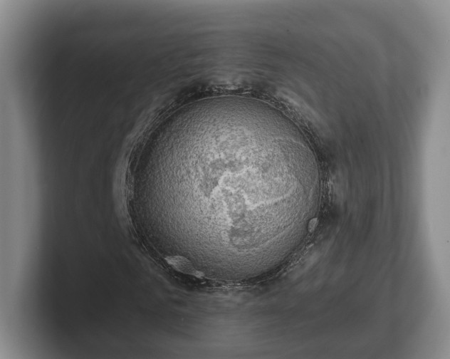 X0000102460961200808151404