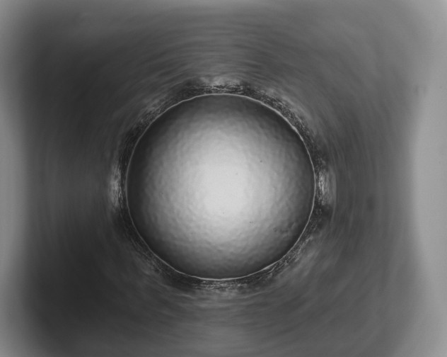 X0000102460963200808151404