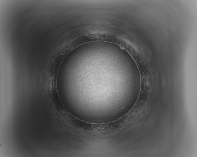 X0000102460965200808151404