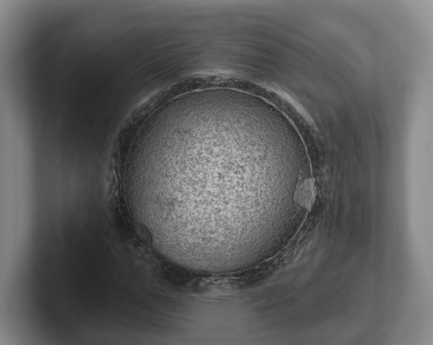 X0000102460967200808151404