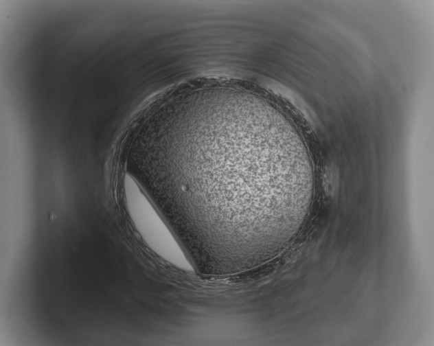 X0000102460968200808151404