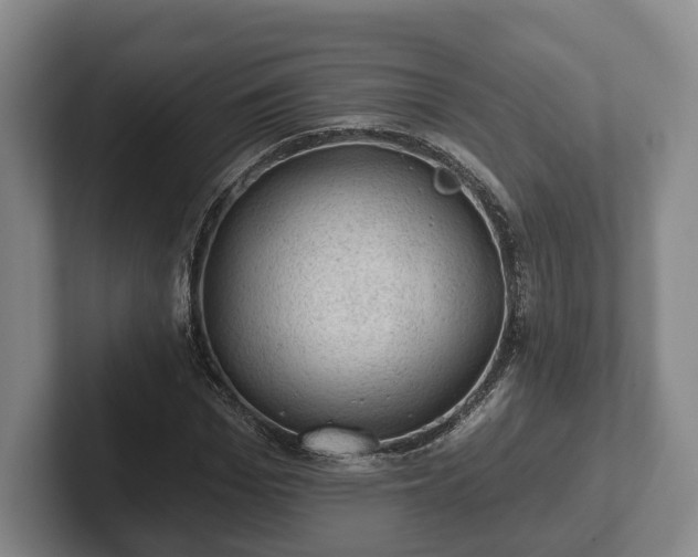 X0000102460969200808151404