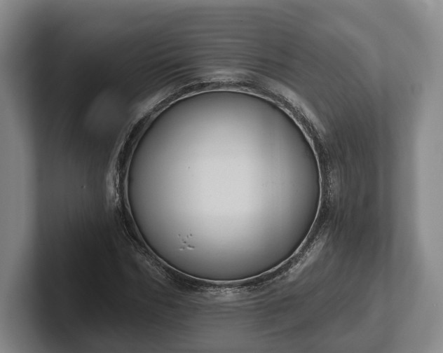 X0000102460970200808151404