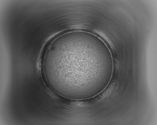 X0000102460971200808151404