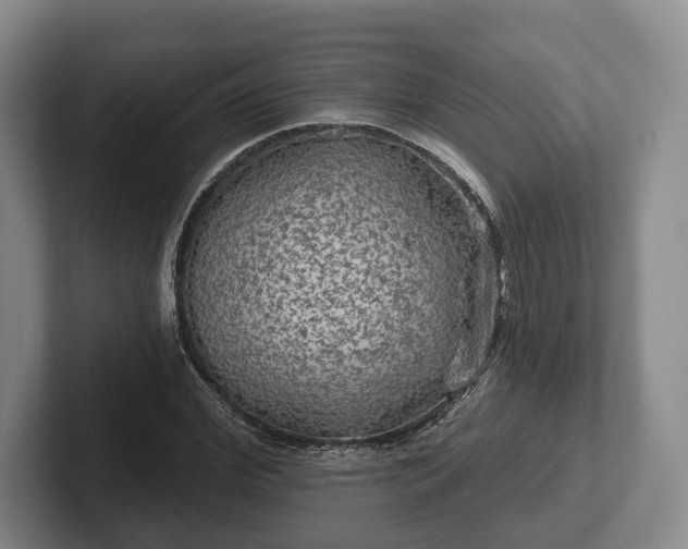 X0000102460972200808151404