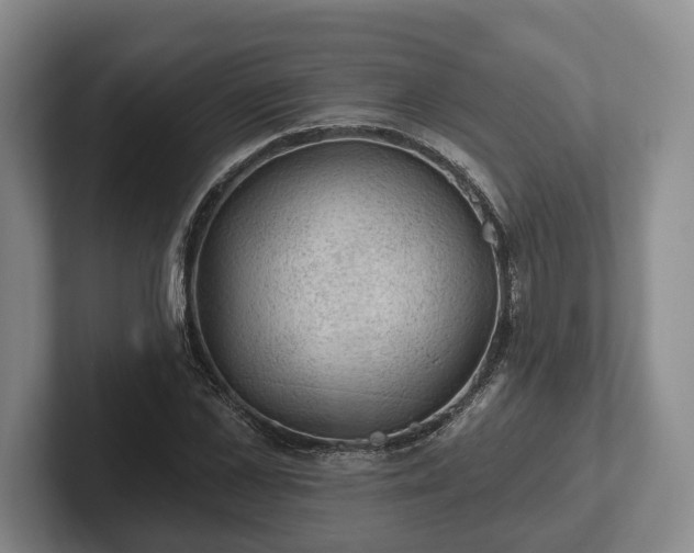 X0000102460973200808151404