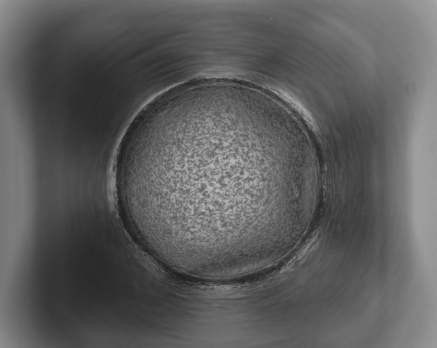 X0000102460976200808151404