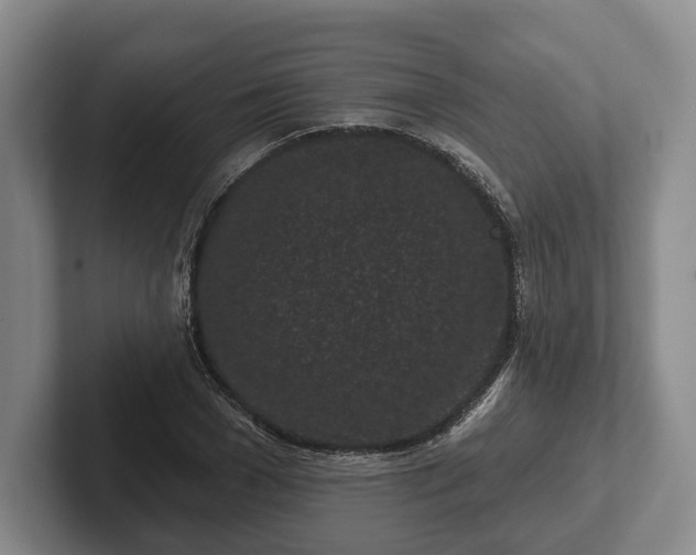 X0000102460977200808151404