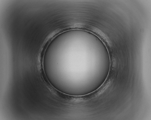 X0000102460978200808151404