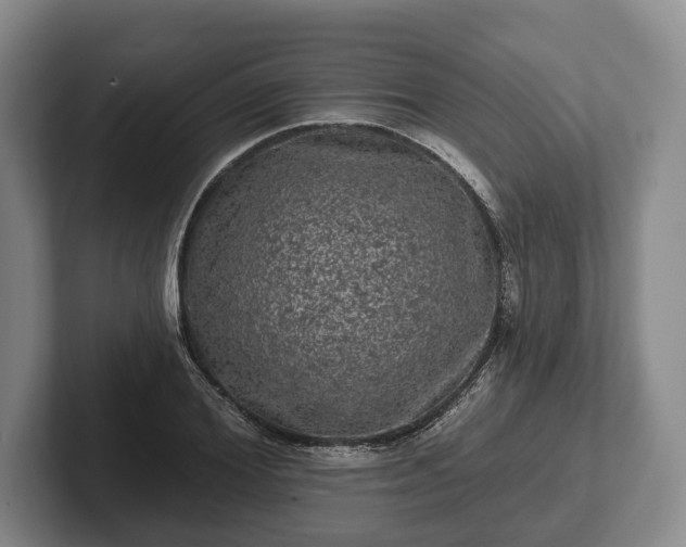 X0000102460980200808151404