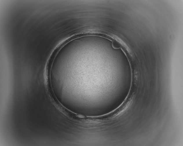 X0000102460981200808151404