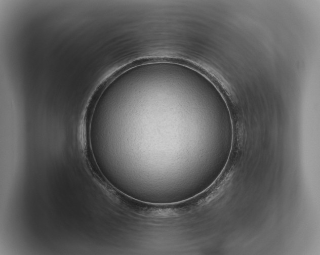 X0000102460982200808151404